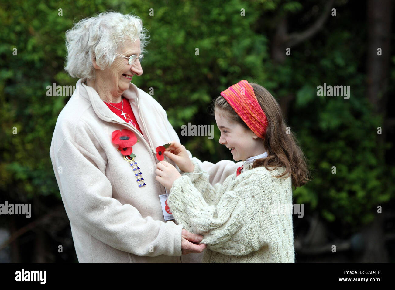 Die achtjährige Poppy Smith hilft ihrer Nachbarin, der 79-jährigen Eve Hardman, sich auf ihr 58. Jahr als Remembrance Day-Mohnverkäufer in Shepreth, Cambs, vorzubereiten. Stockfoto