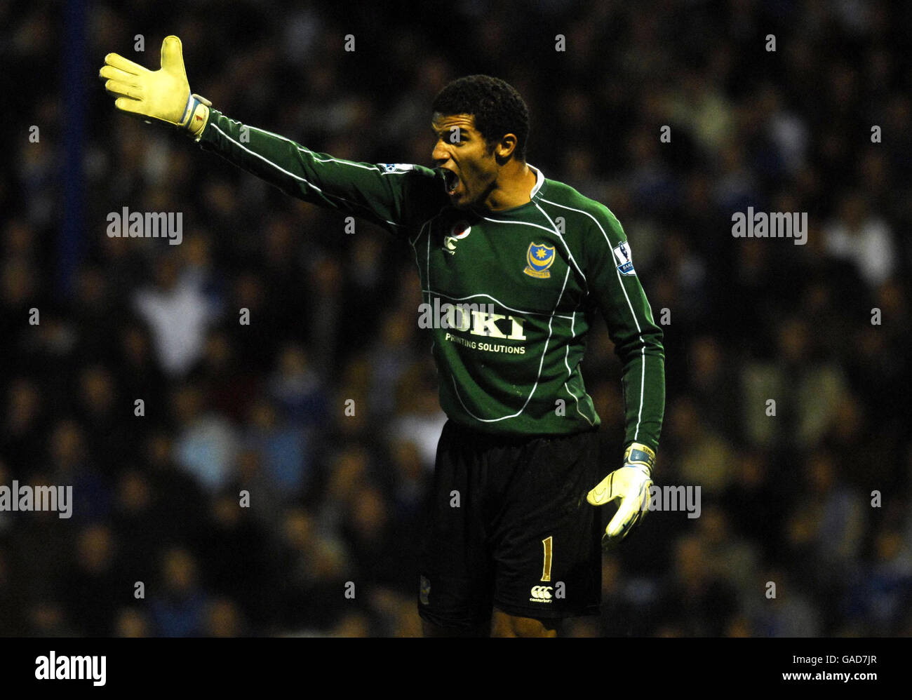 Portsmouth Torwart David James reagiert beim Spiel der Barclays Premier League im Fratton Park, Portsmouth. Stockfoto