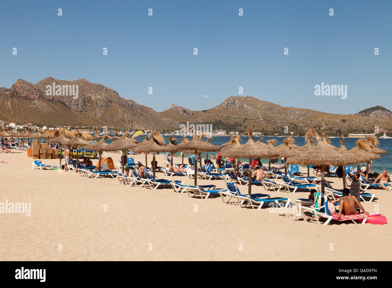 Leute, Sonnenbaden am Puerto Pollensa Strand, Mallorca (Mallorca), Balearen, Spanien-Europa Stockfoto