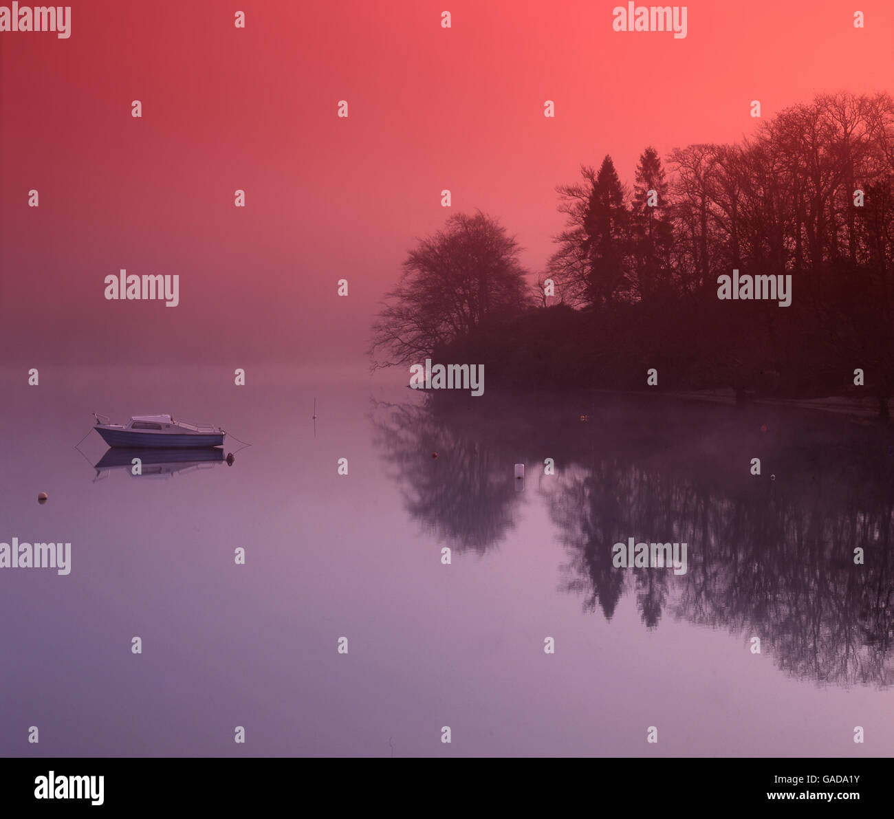 Nebligen Szene von Innis Chonain, Loch Awe, Argyll Stockfoto