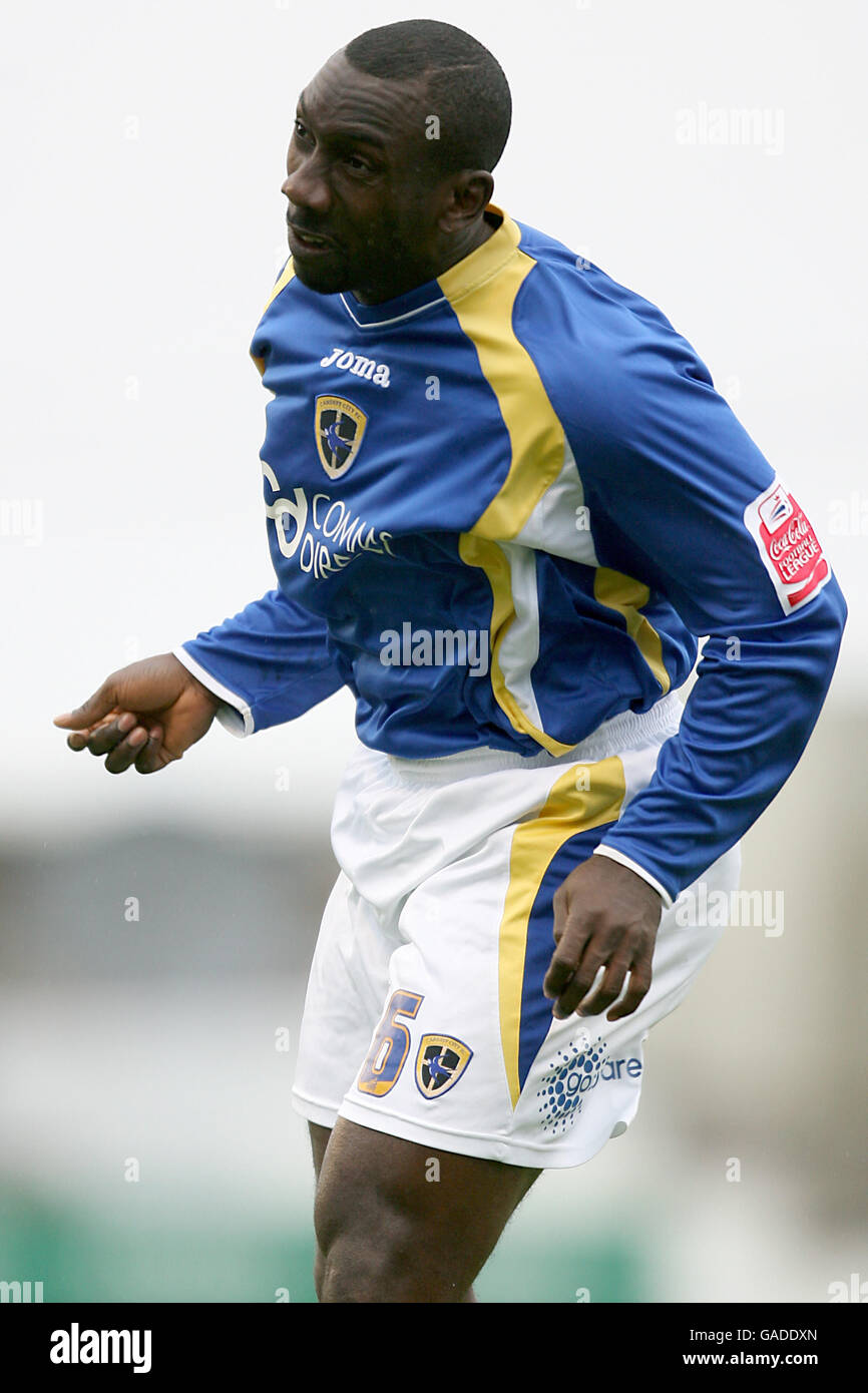 Fußball - Coca-Cola Football League Championship - Cardiff City / Ipswich Town - Ninian Park. Jimmy Floyd Hasselbaink, Cardiff City Stockfoto