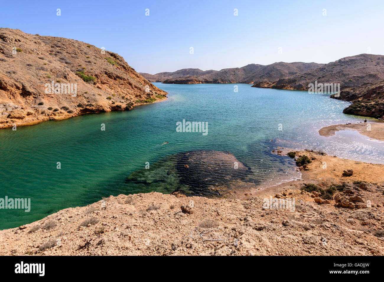 Frau, die allein in einem fjordähnlichen Sultanat von Oman, Naher Osten, Arabische Halbinsel schwimmt Stockfoto