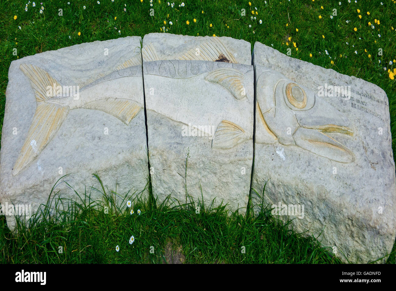 England, Hampshire, Isle Of Wight, Chale Bay Makrele Stein Stockfoto