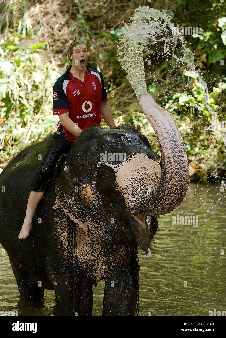 Cricket - England Besuch Pinawella Dorf - Kandy Stockfoto