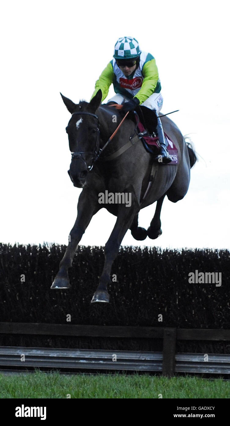 Pferd - Hennessy Cognac Goldschale Regattatag - Newbury Racecourse Stockfoto