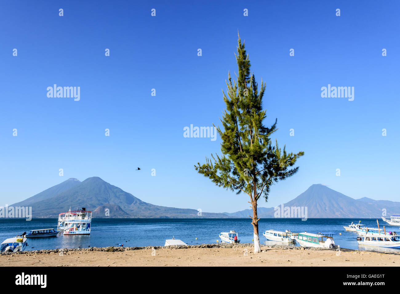 Boote & Vulkane: atitlan, toliman & San Pedro, am Atitlan See, Guatemala. Stockfoto