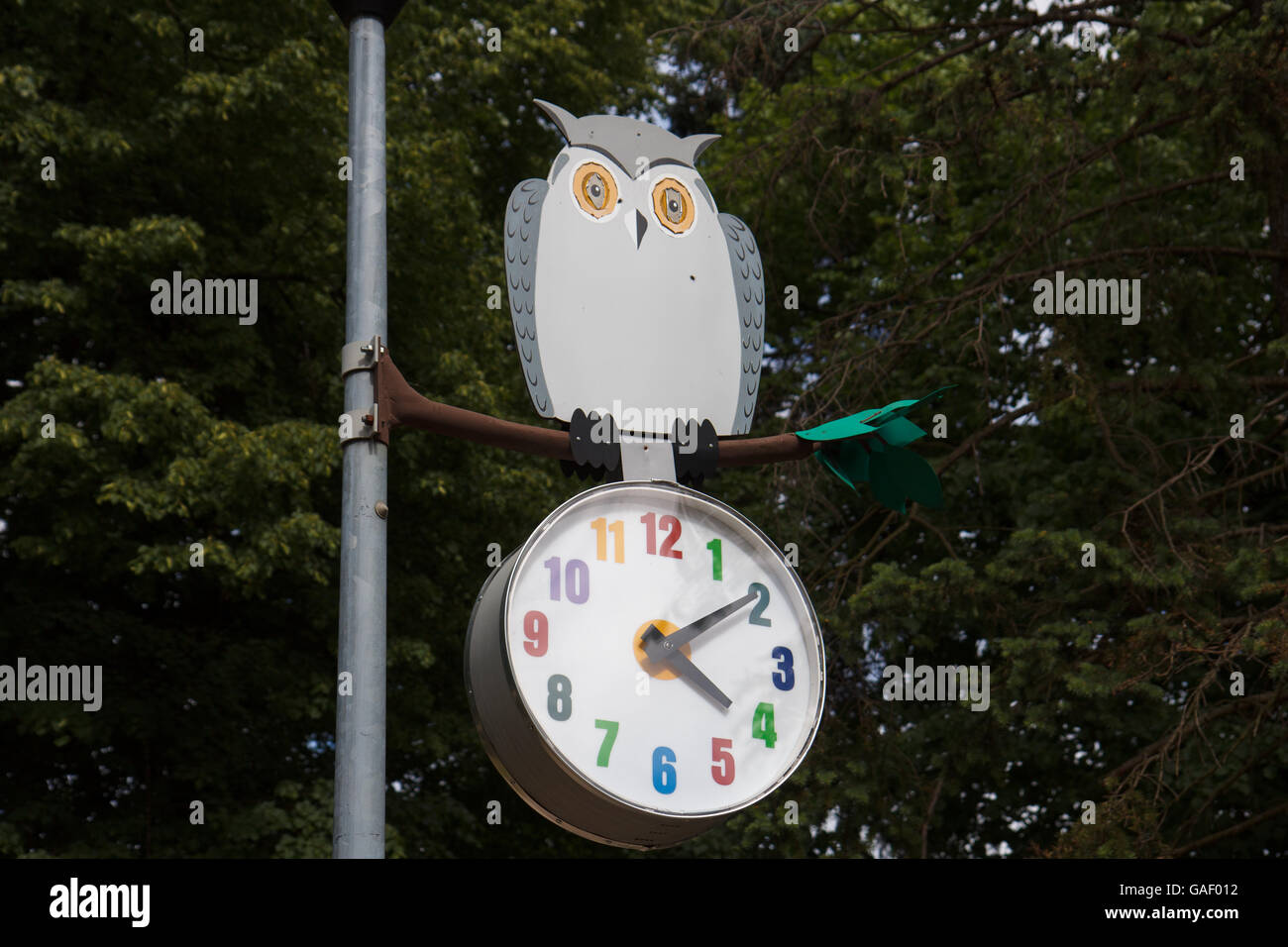 Eule-Park-Uhr Stockfoto