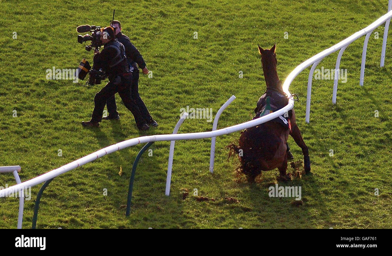 Pferderennen - Newbury Racecourse. Ein TV-Kameramann ergreift Ausweichmanöver, während ein loses Pferd auf der Rennbahn von Newbury durch die Schiene bricht. Stockfoto
