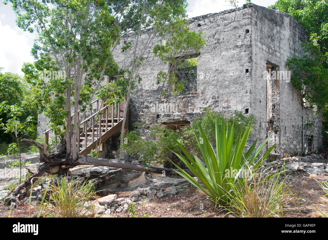 Die massive Gründe die Wade grün-Plantage auf North Caicos bietet interessante Ruinen aus den 1700er Jahren wie das große Haus. Stockfoto