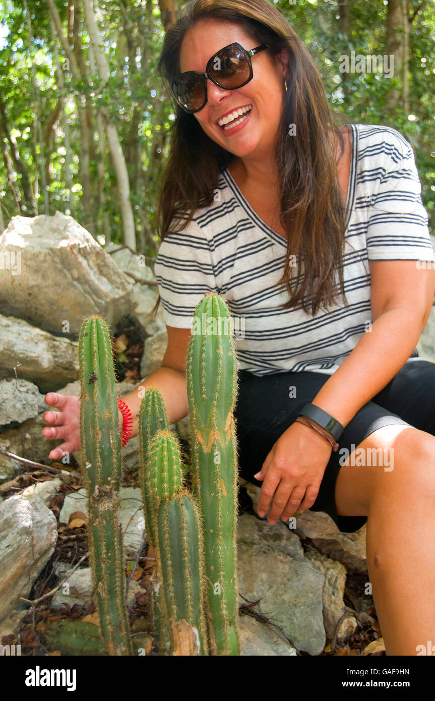 Wade's Green Plantation auf North Caicos bietet Ruinen und eine einzigartige Vegetation wie diese stachelige Pflanze namens „Dildo Kaktus“. Stockfoto