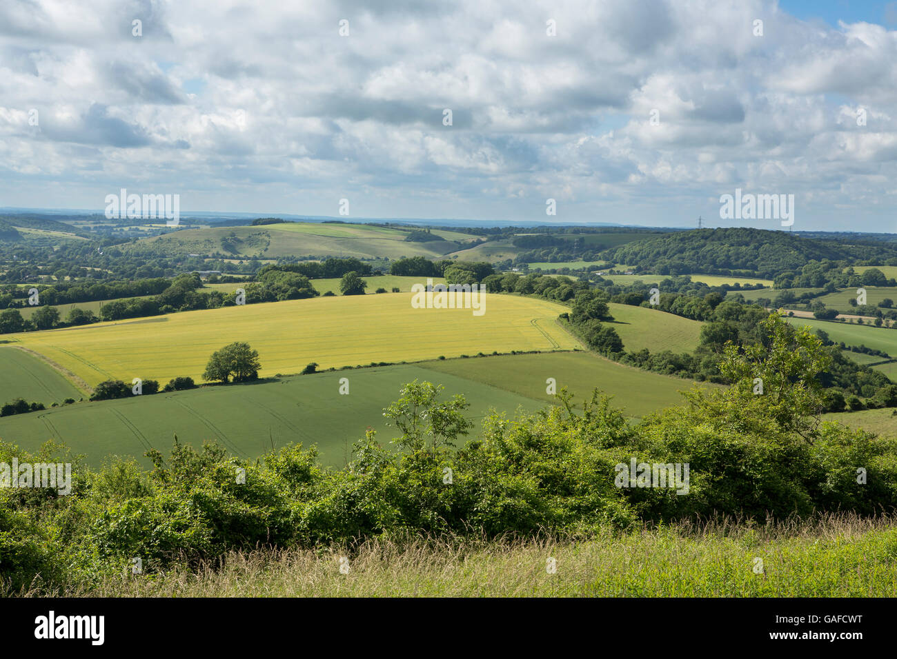 Geologische Besonderheit auf der South Downs in Hampshire, England. Grass bedeckt Pisten mit Ackerland, die Dehnung in die Ferne Stockfoto