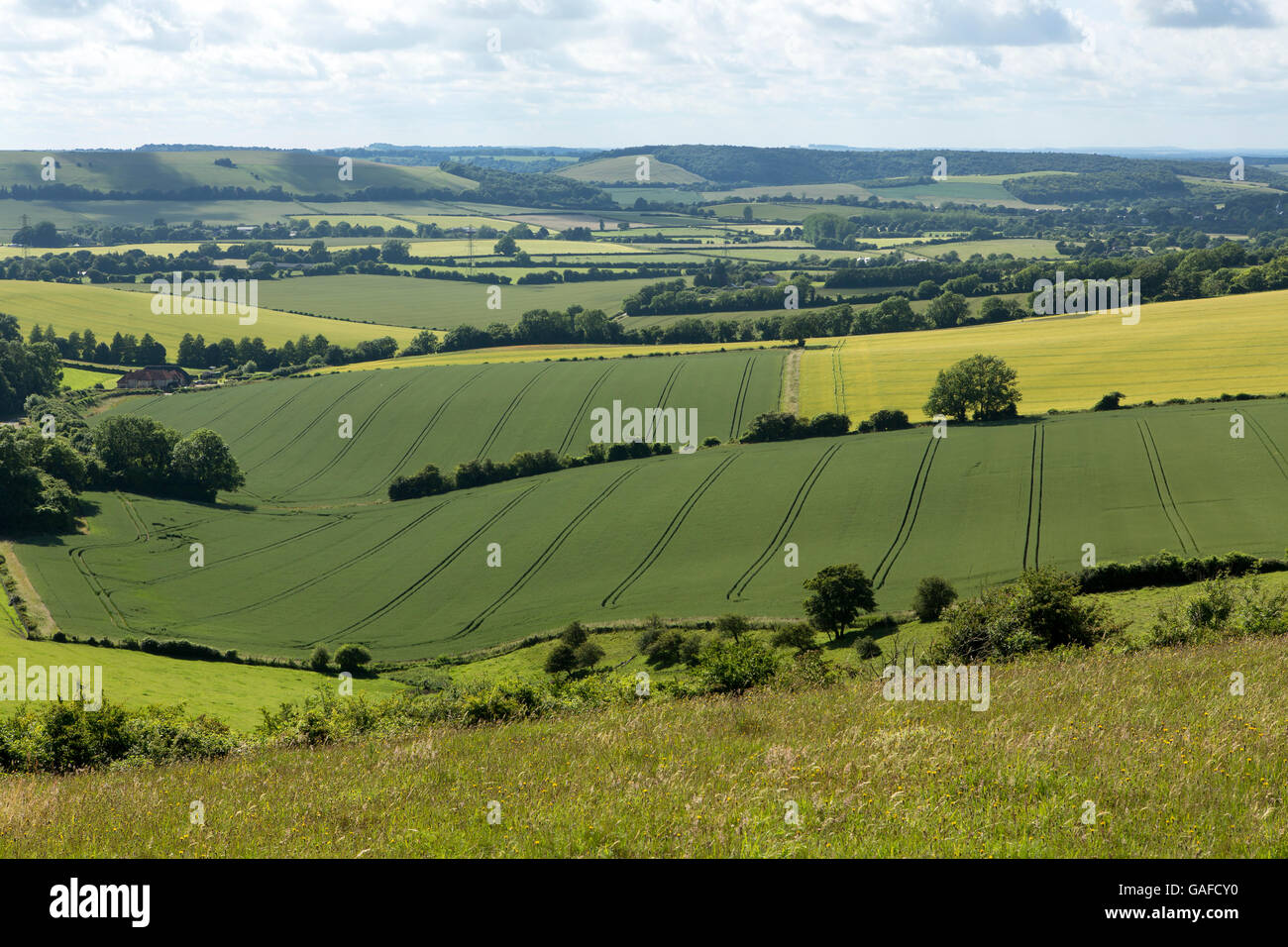 Geologische Besonderheit auf der South Downs in Hampshire, England. Grass bedeckt Pisten mit Ackerland, die Dehnung in die Ferne. Stockfoto