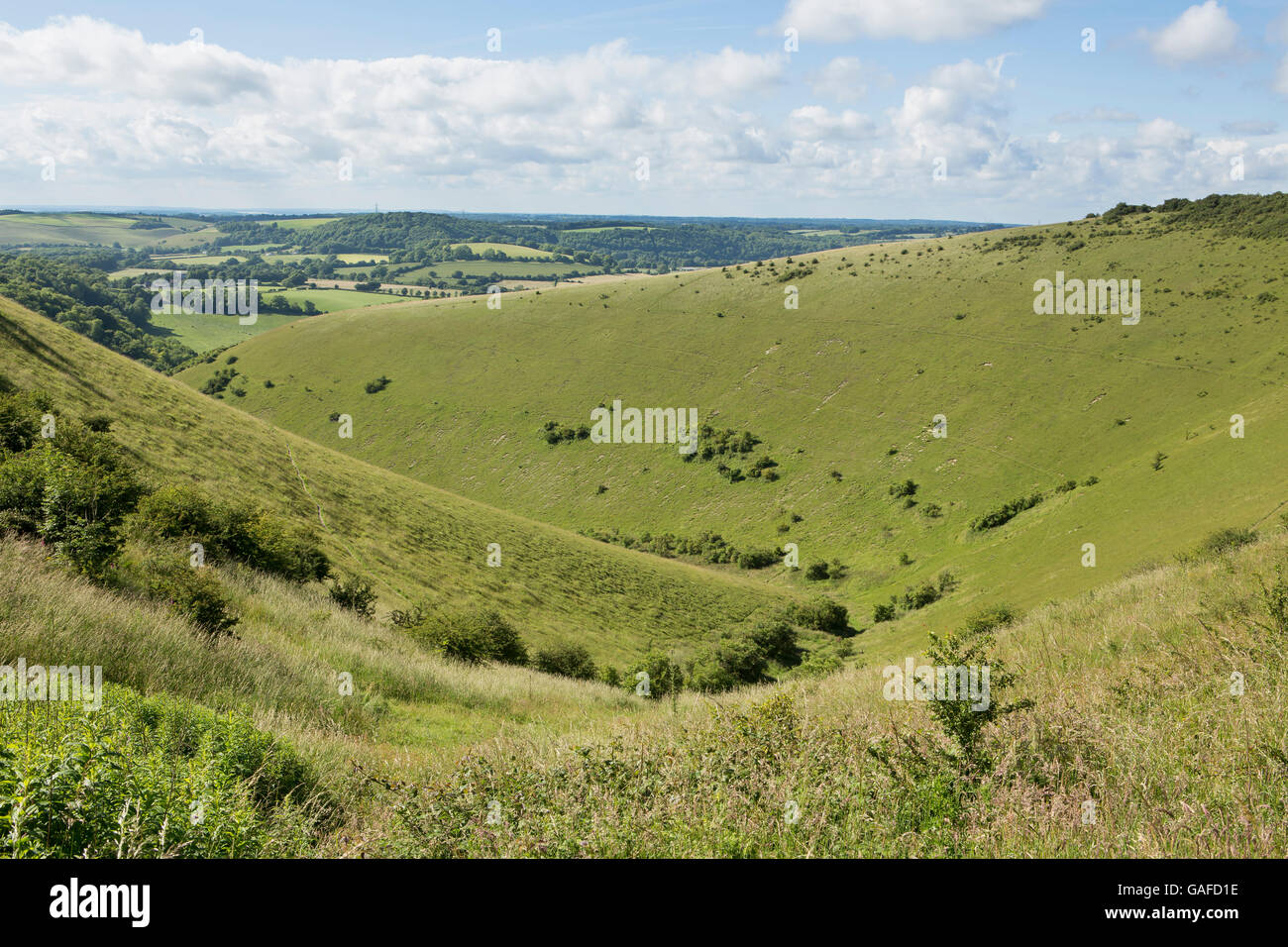 Geologische Besonderheit auf der South Downs in Hampshire, England. Grass bedeckt Pisten mit Wanderwegen in der Kreide Hügel geätzt Stockfoto