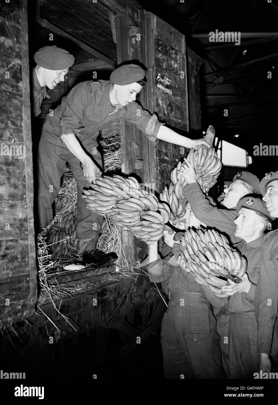 Truppen der königlichen Shropshire Light Infantry verladen Bananen vom Frachter 'Bayano' in einen Eisenbahnwaggon bei Avonmouth. Stockfoto