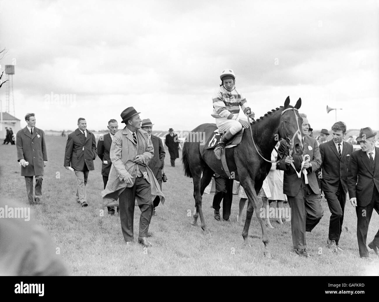 Pferderennen - The Irish Derby - The Curragh. Der irische Derby-Gewinner Meadow Court, Lester Piggott Up, mit Teileigentümer Bing Crosby (l), der an der Seite läuft Stockfoto