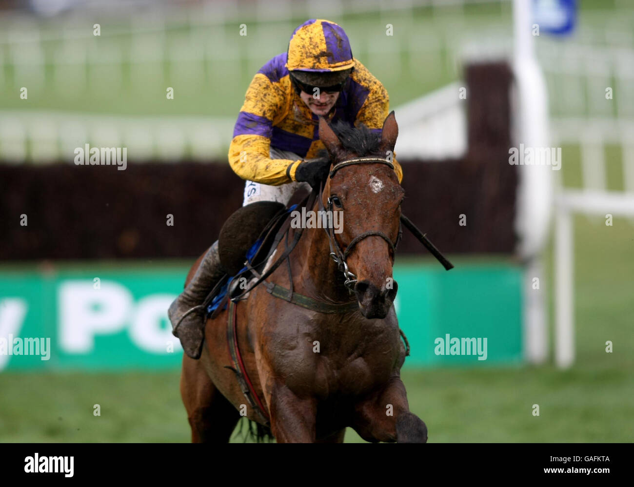 Pferderennen - Leopardstown Racecourse Stockfoto