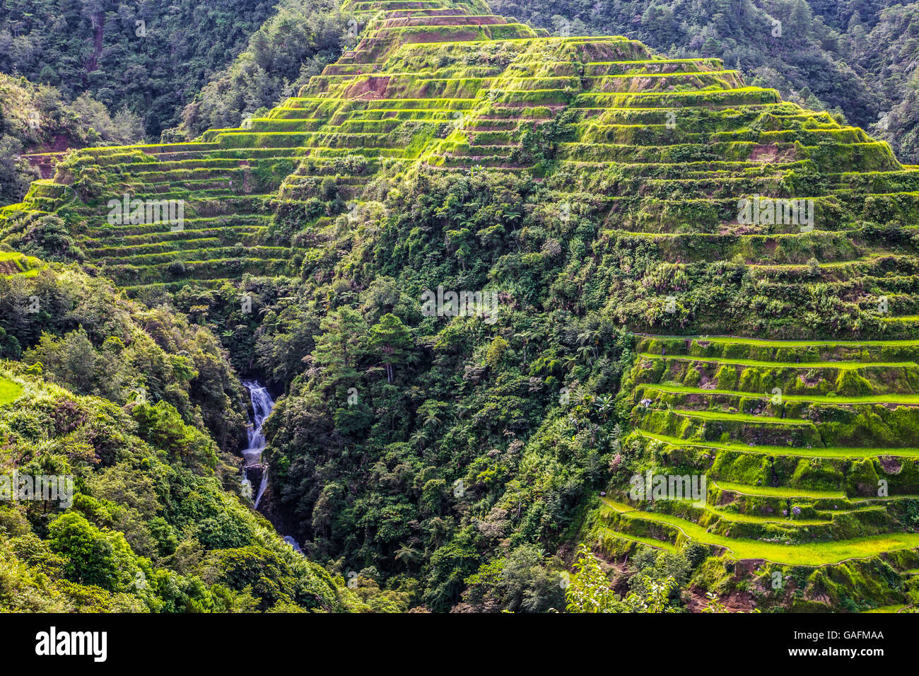 Reisterrassen Von Banaue Stockfotos und -bilder Kaufen - Alamy