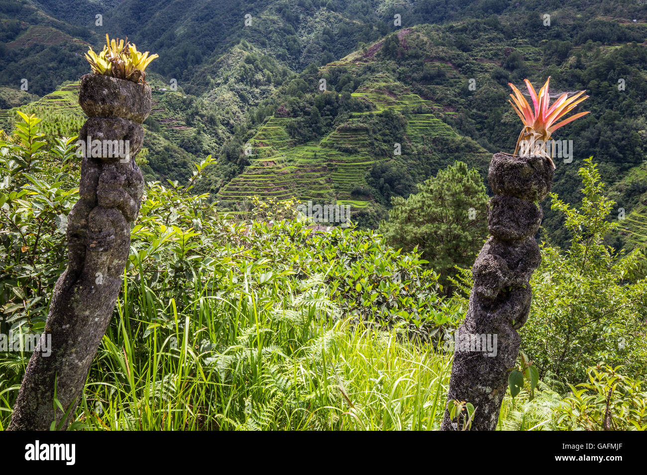 Reisterrassen von Banaue repräsentieren eine dauerhafte Illustration einer uralten Zivilisation, die trotz Modernisierung überlebt hat Stockfoto