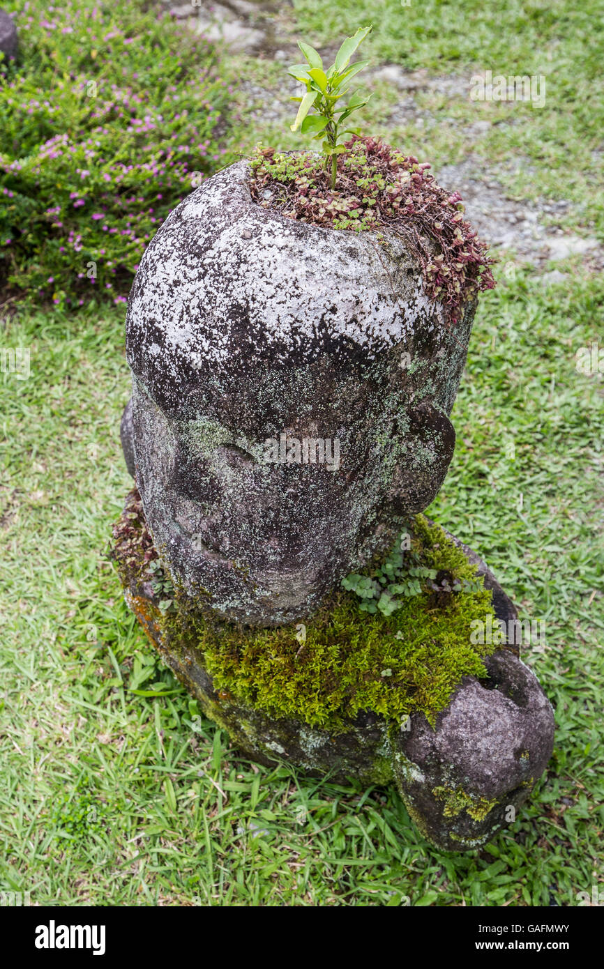 Bulol Statuen oder Fruchtbarkeit Idole, traditionelle Holzschnitzereien Darstellung eines Reis-Gottes bewachen. Ein Druck auf den Bauch von einem Fertilit Stockfoto
