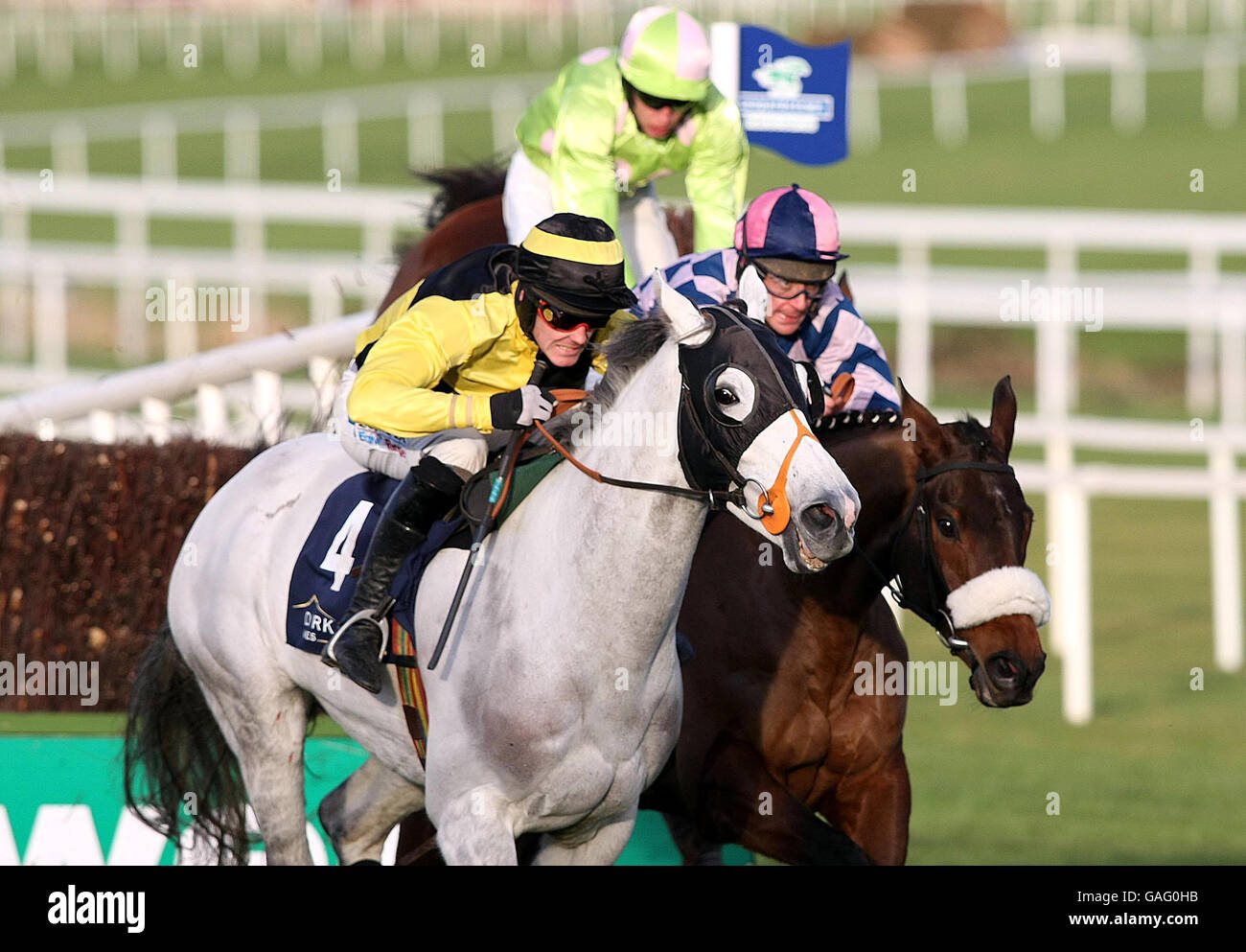 Sky's the Limit und Andrew McNamara gewinnen den Euro Durkan New Homes Novice Steeplechase auf der Leopardstown Racecourse, Irland. Stockfoto