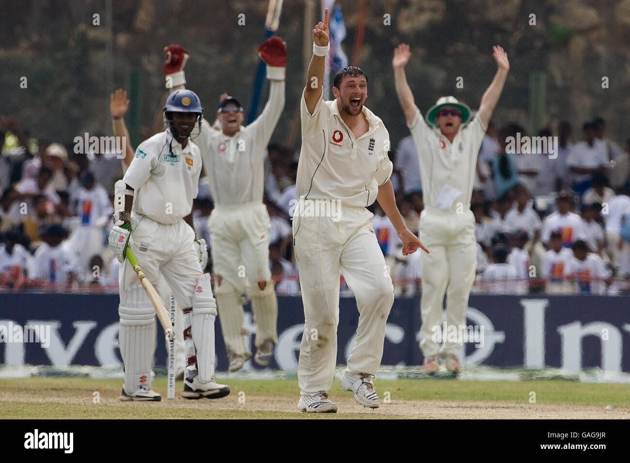 Der englische Steve Harmion appelliert beim dritten Testspiel im Galle International Stadium, Galle, Sri Lanka, erfolgreich für das Wicket von Upul Tharanga aus Sri Lanka. Stockfoto