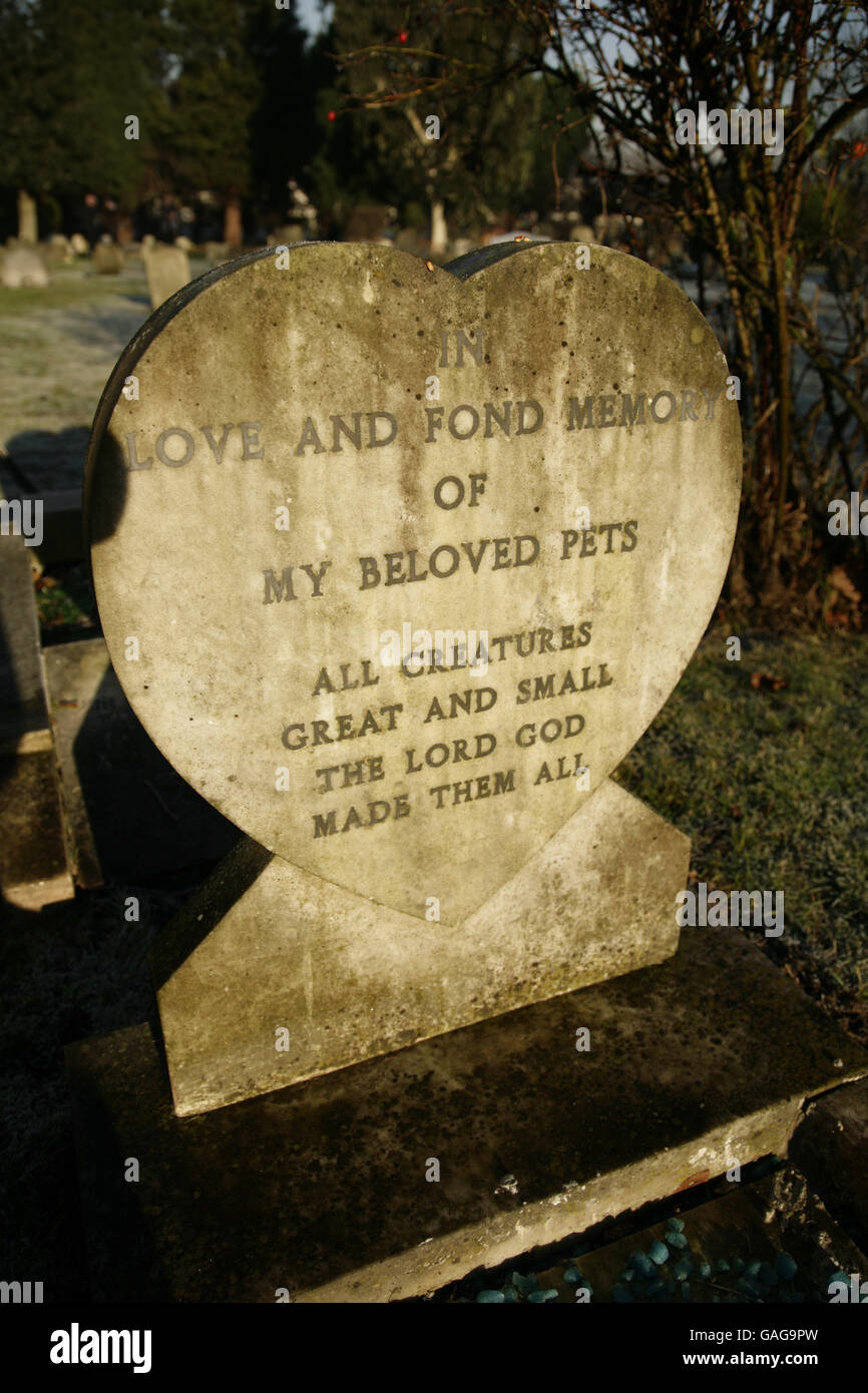Ein Tiergrabstein wird während einer Zeremonie zu Ehren der Empfänger der PDSA-Dickin-Medaille - dem Tieräquivalent des Victoria Cross - auf dem neu restaurierten Ilford Animal Cemetery im Osten Londons fotografiert. Stockfoto