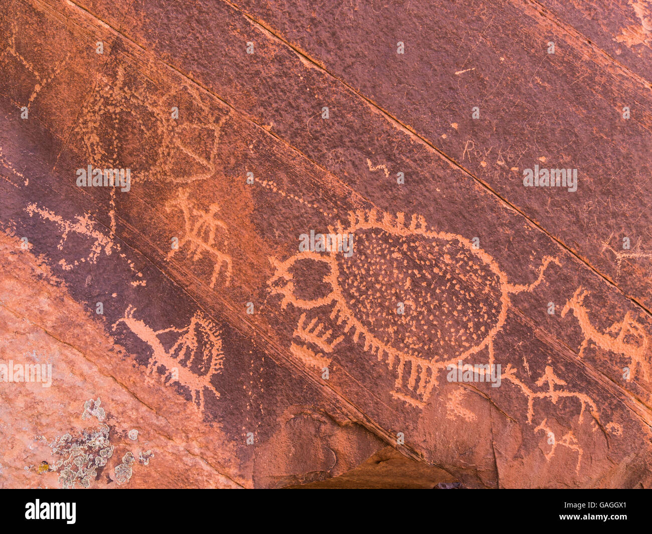 Petroglyphen, Big Dominguez Canyon Dominguez Canyon Wilderness Area südlich von Grand Junction, Colorado. Stockfoto
