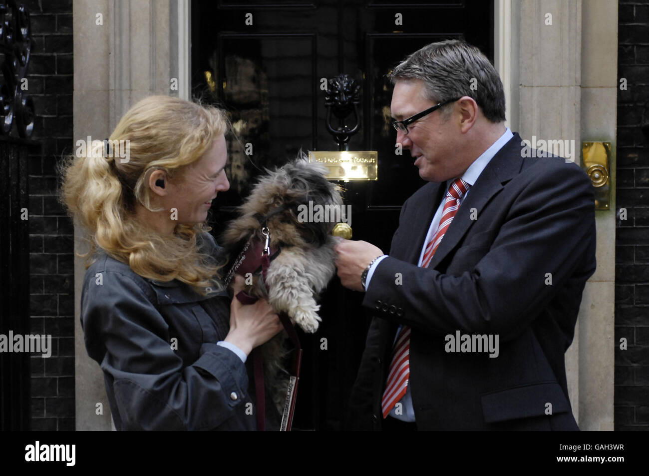 Begleithunde in der Downing Street Stockfoto