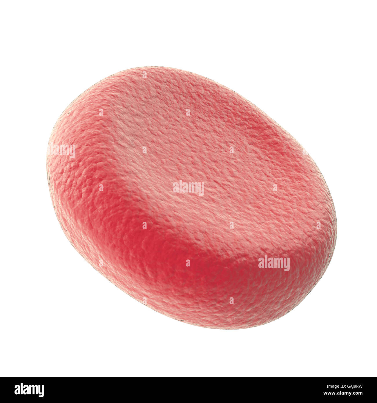Einzelne rote Blutkörperchen isoliert auf weißem Hintergrund. 3D Abbildung hohe Qualität Stockfoto