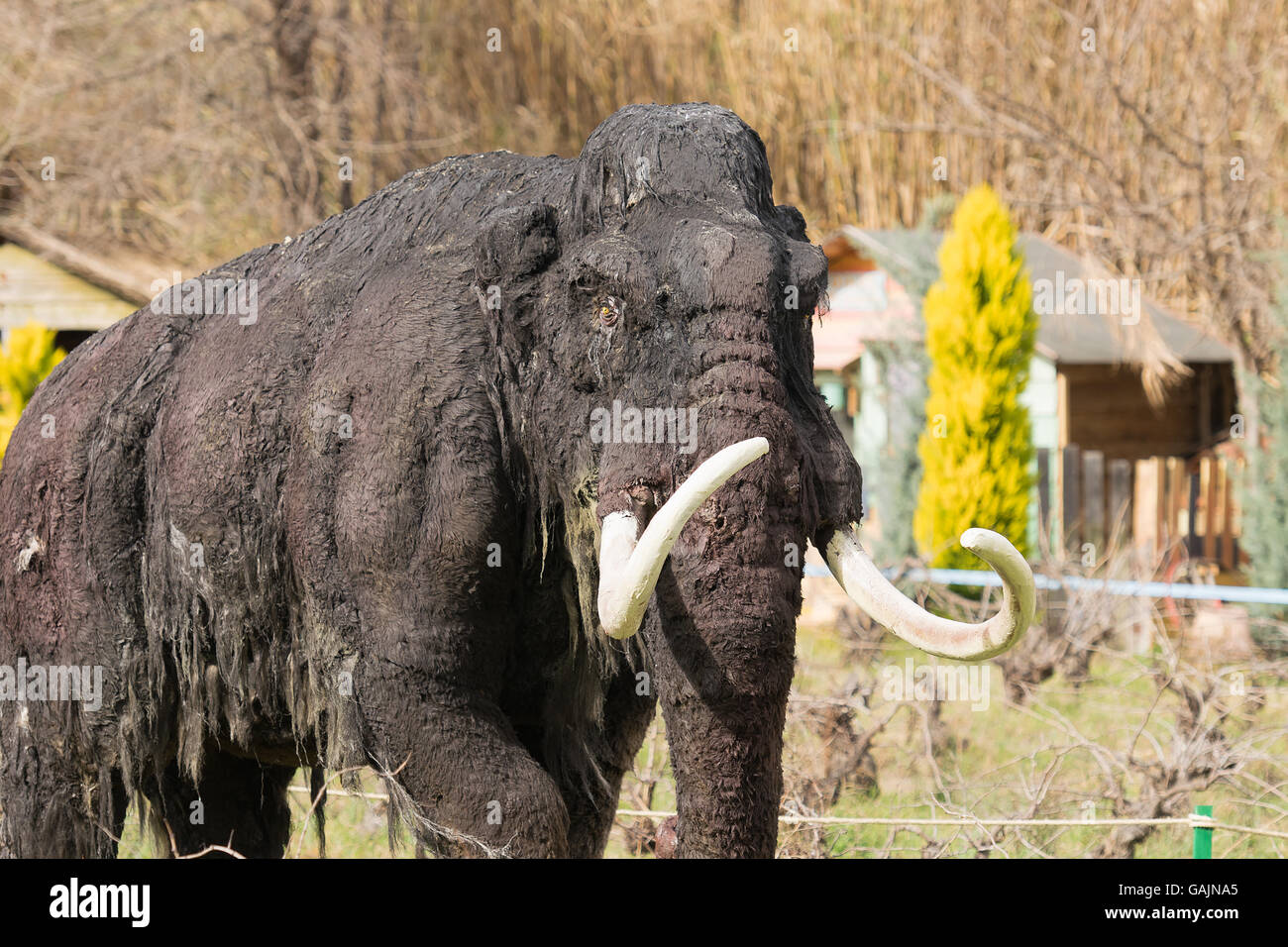Athen, Griechenland 17. Januar 2016. Mammut des alten Zeiten Modells in den Park von Dinosauriern in Griechenland. Stockfoto
