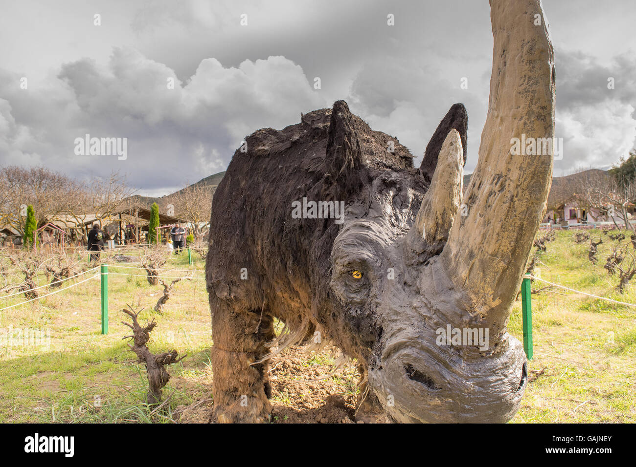 Athen, Griechenland 17. Januar 2016. Prähistorische Rhino Porträt im Park von Dinosauriern in Griechenland. Stockfoto