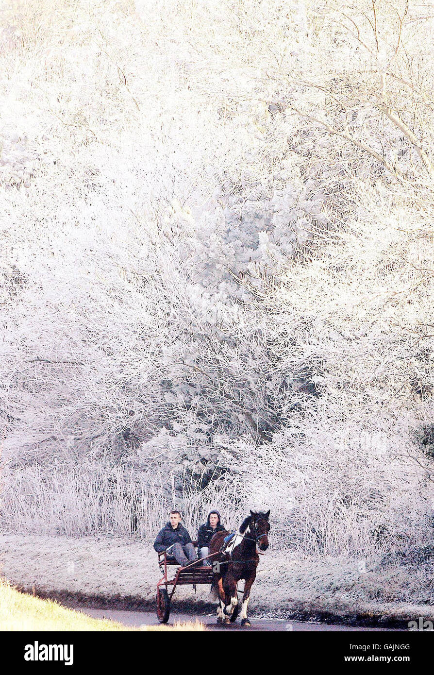 Kaltes Wetter in Großbritannien. Ein Pferd und ein Wagen ziehen aus dem stark mattierten Wald in der Nähe von Newcastle. Stockfoto