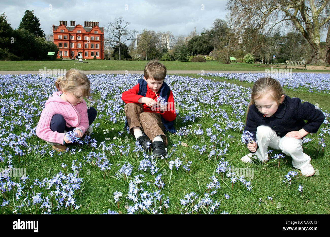 EIGENSTÄNDIGES Foto. Von links nach rechts sehen Sie Diana Reed, 4, Mark Reed, 7 und Romilly Mason, 4, die „Glory of the Snow“-Blumen in den Royal Botanic Gardens, Kew, Richmond, Surrey. Stockfoto