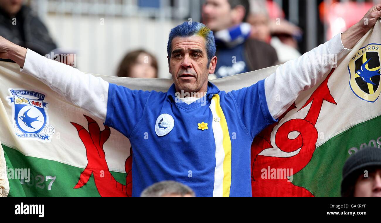 Fußball - FA Cup - Halbfinale - Barnsley gegen Cardiff City - Wembley Stadium. Ein Fan von Cardiff City zeigt seine Farben auf den Tribünen Stockfoto