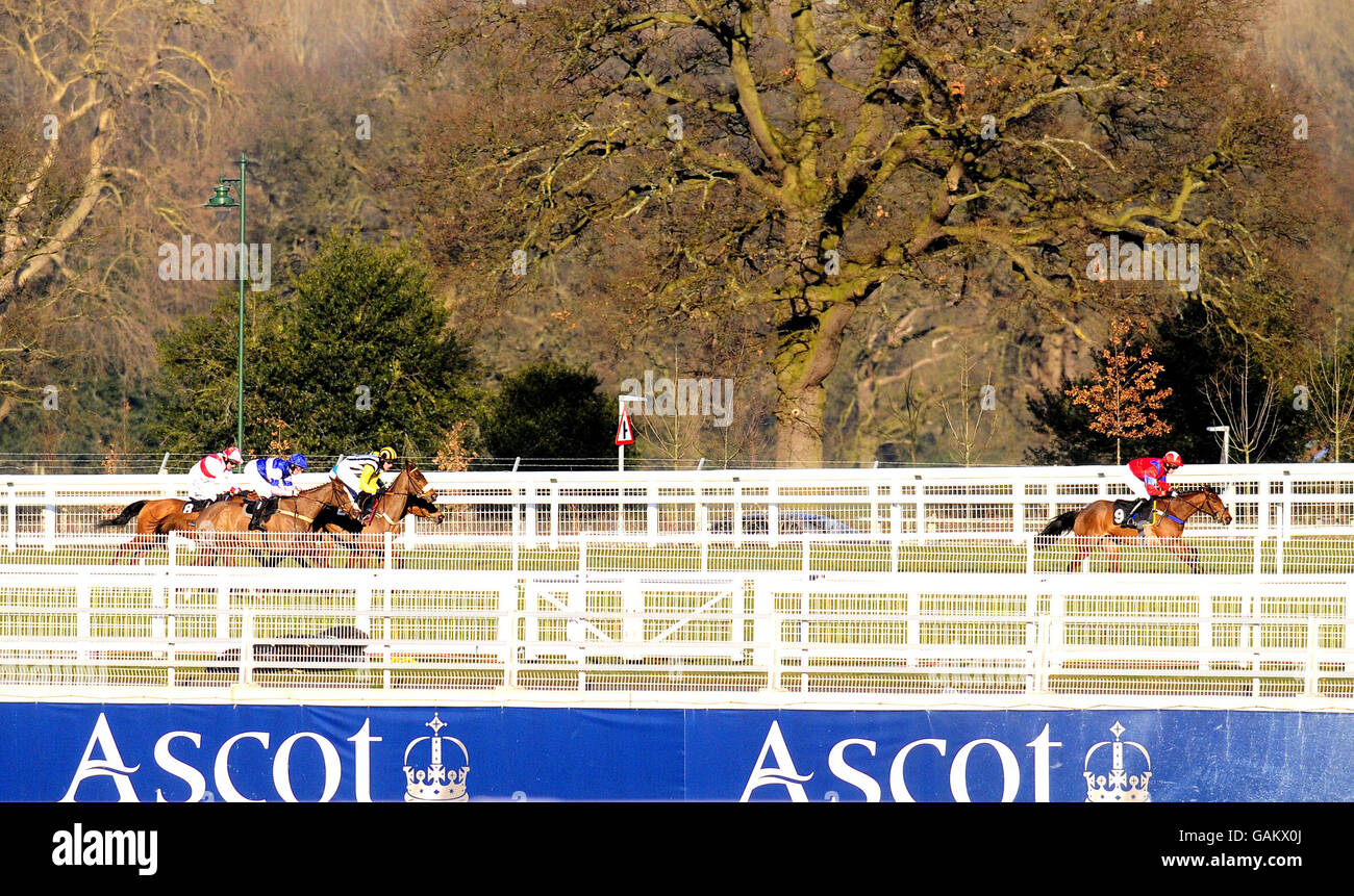 Whiteoak und Jason Maguire (links) sitzen auf dem zweiten Platz, bevor sie die landesweite Hürde der Steel & Tubes-Stuten für Anfänger auf der Ascot Racecourse, Berkshire, gewinnen. Bilddatum: Samstag, 16. Februar 2008. Siehe PA Story RACING Ascot. Bildnachweis sollte lauten: Alan Crowhurst/PA Wire. Stockfoto