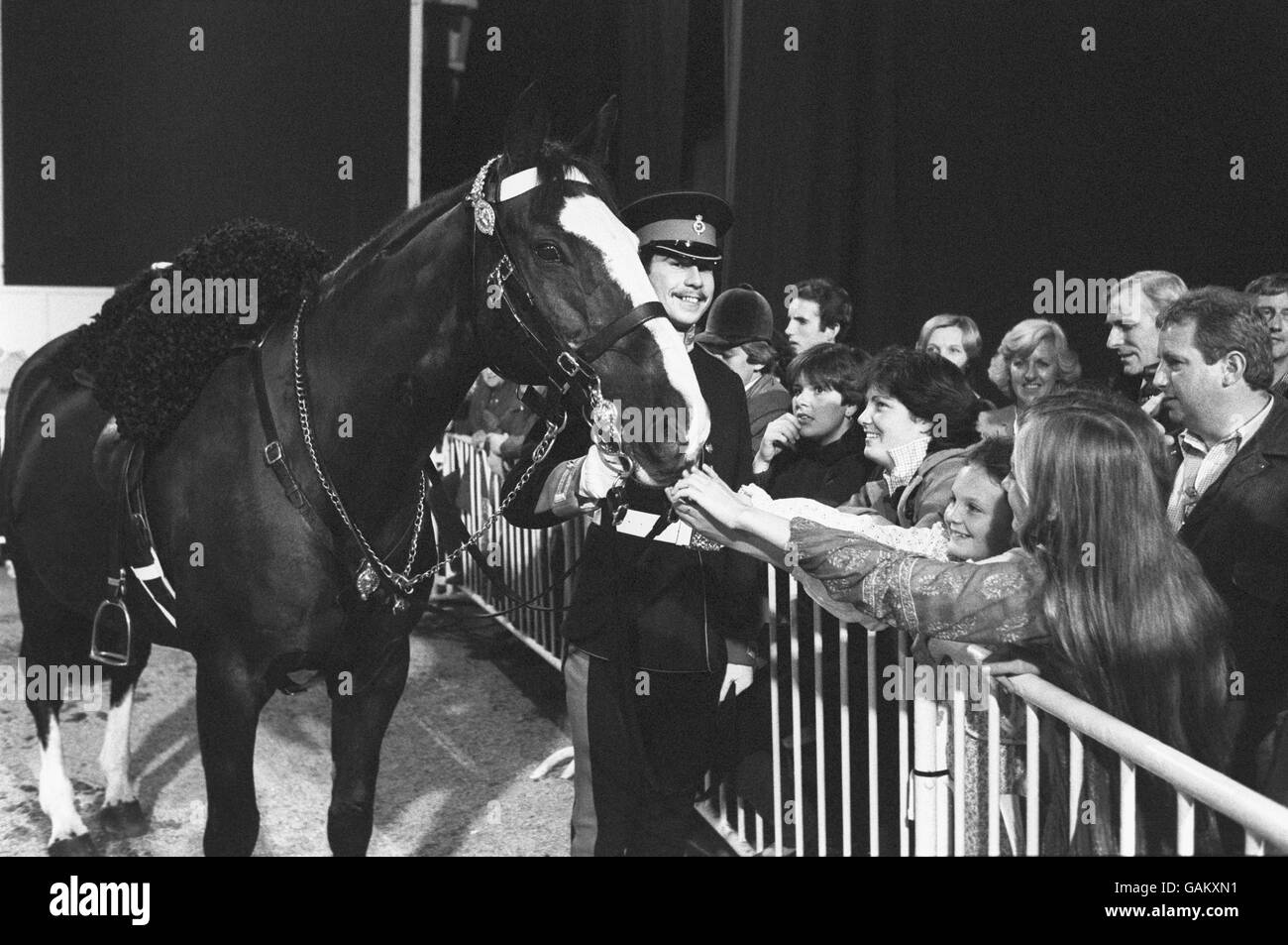 Reiter - Pferd des Jahres-Show - Wembley Arena Stockfoto