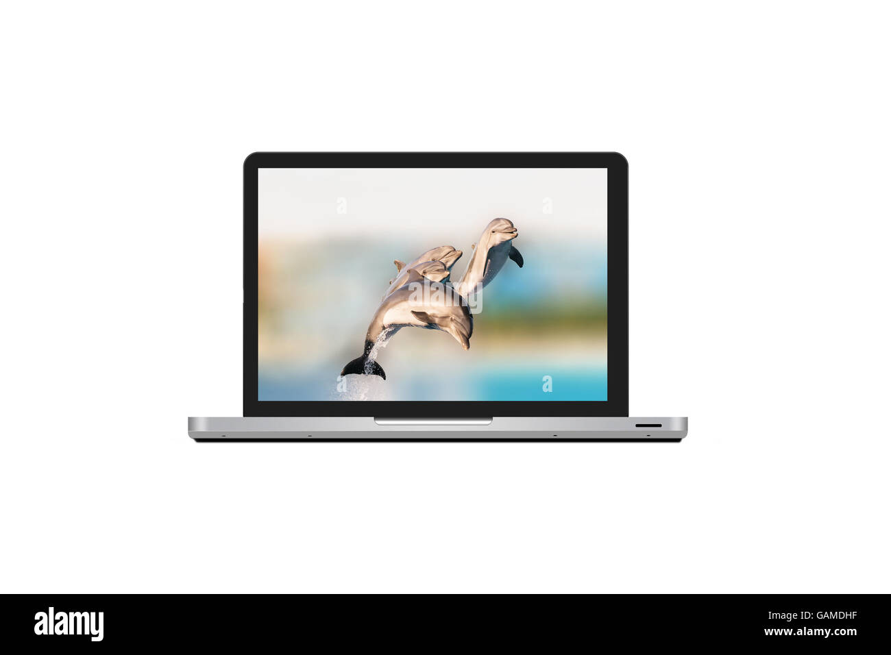 Laptop mit Delfinen als Hintergrund Bildschirm isoliert auf weißem Hintergrund. Stockfoto