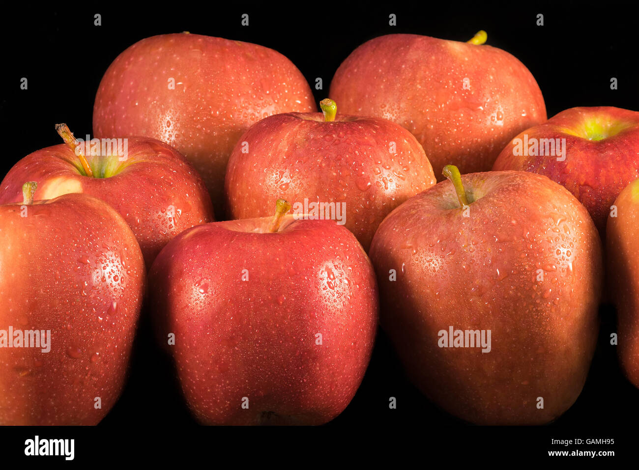 Frische Äpfel mit Wassertropfen auf schwarz. Stockfoto