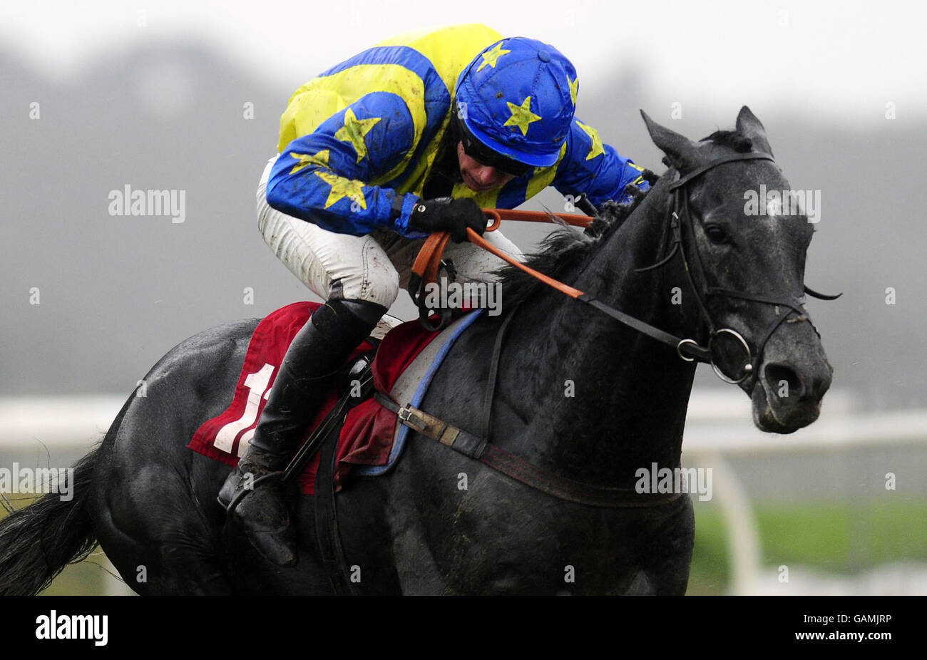 Special Day mit Dominic Elsworth gewinnt die Hürde der Neulinge von Stan James Supporters Greatwood Juvenile auf der Rennbahn von Newbury. Stockfoto