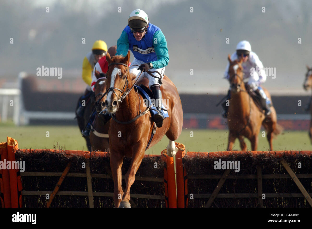 Pferderennen - Kempton Races. Action von Kempton Races Stockfoto