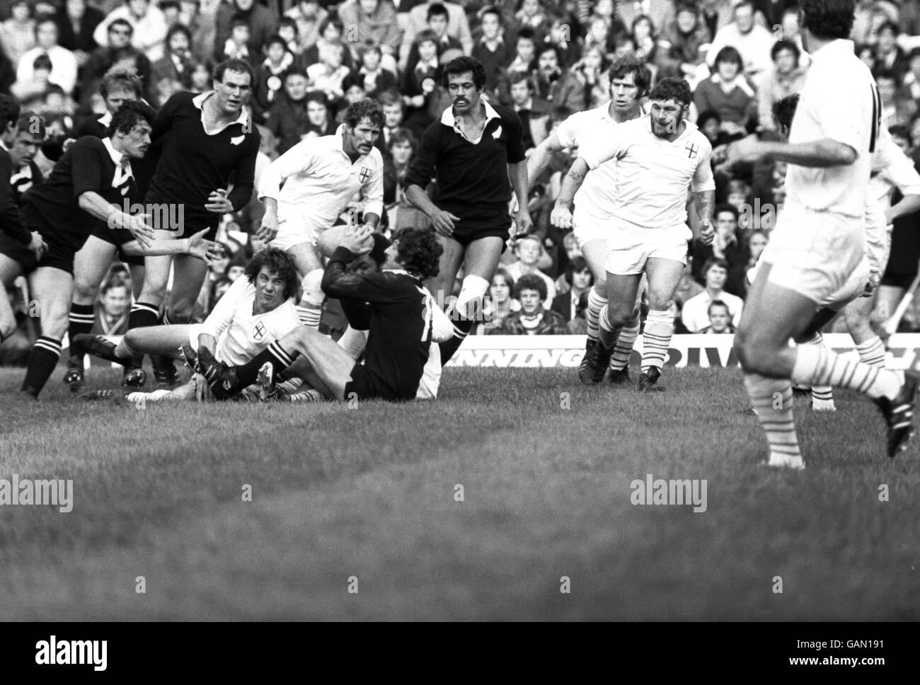 Rugby Union - Tour Match - London Division gegen Neuseeland. Der Neuseeländer Graham Mourie (c, am Boden) versucht, den Ball mit seinem Teamkollegen M Boygoyne zu pitchen (l) Stockfoto