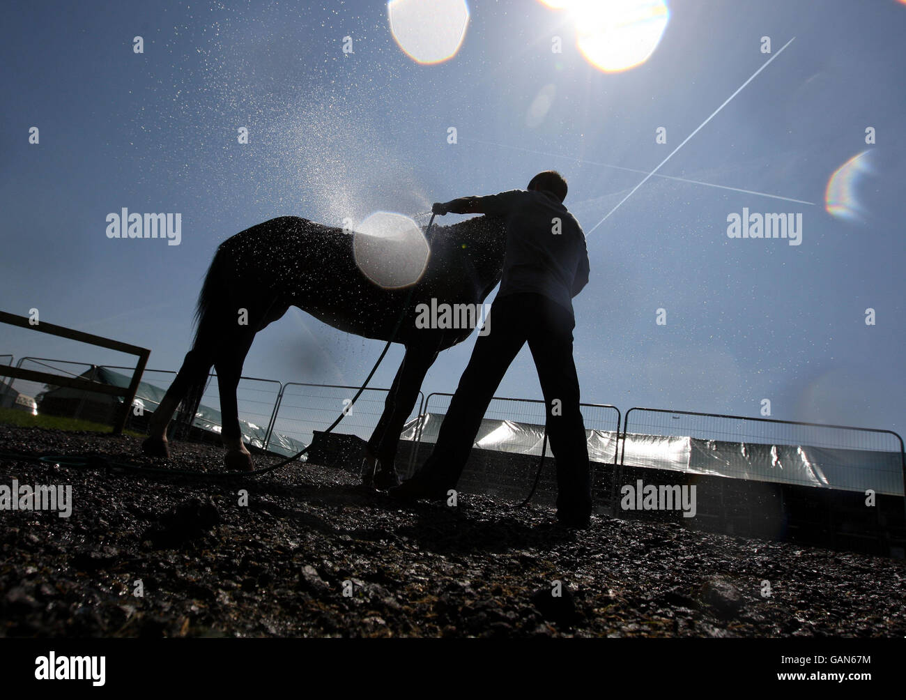 Royal Windsor Horse Show. Ein Pferd wird unter der prallen Sonne abgekühlt, nachdem es an der Royal Windsor Horse Show teilgenommen hat. Stockfoto