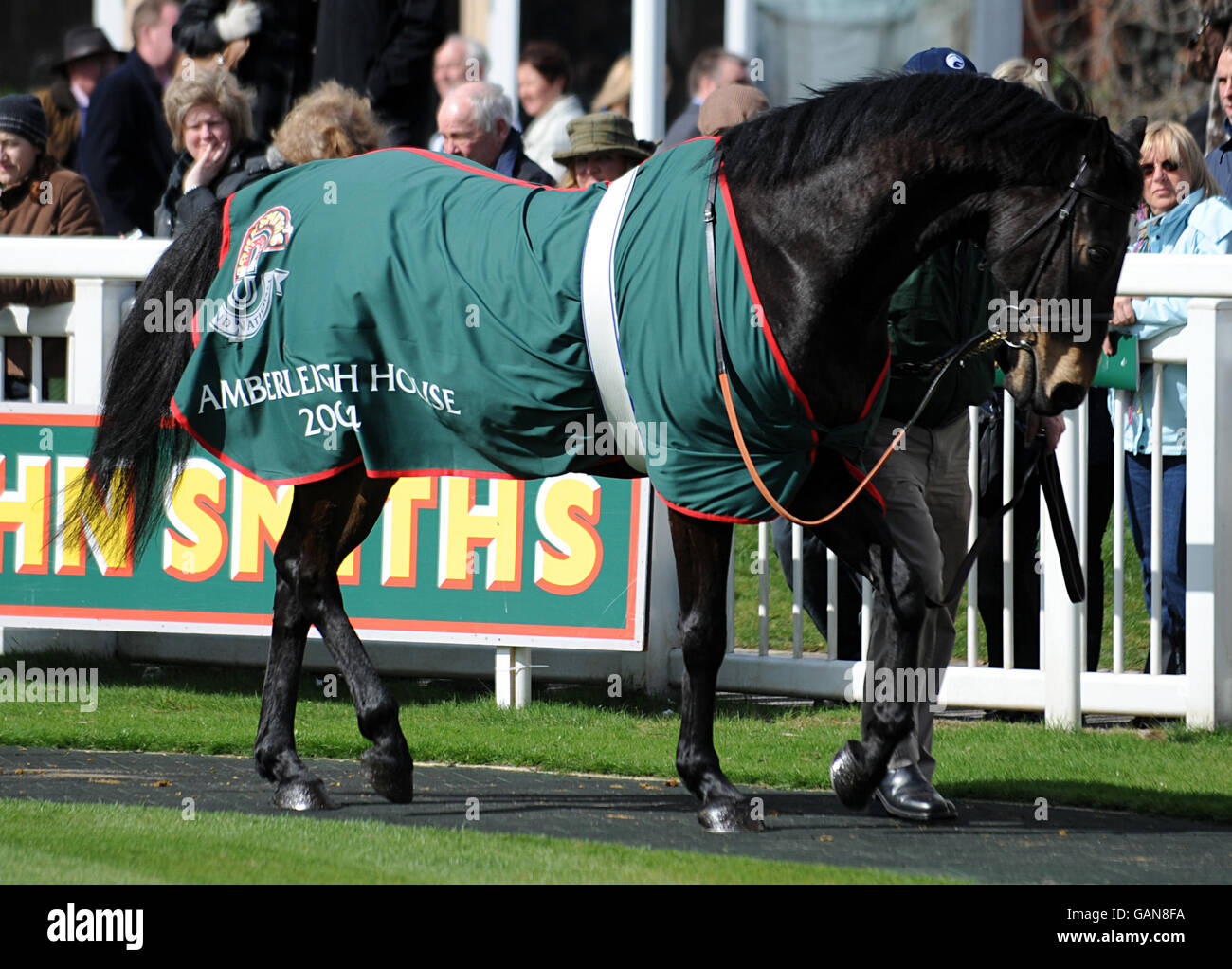 Amberleigh House, Gewinner des Grand National 2004, im Paradering vor dem Rennen des Tages während des John Smith's Grand National Meeting 2008. Stockfoto