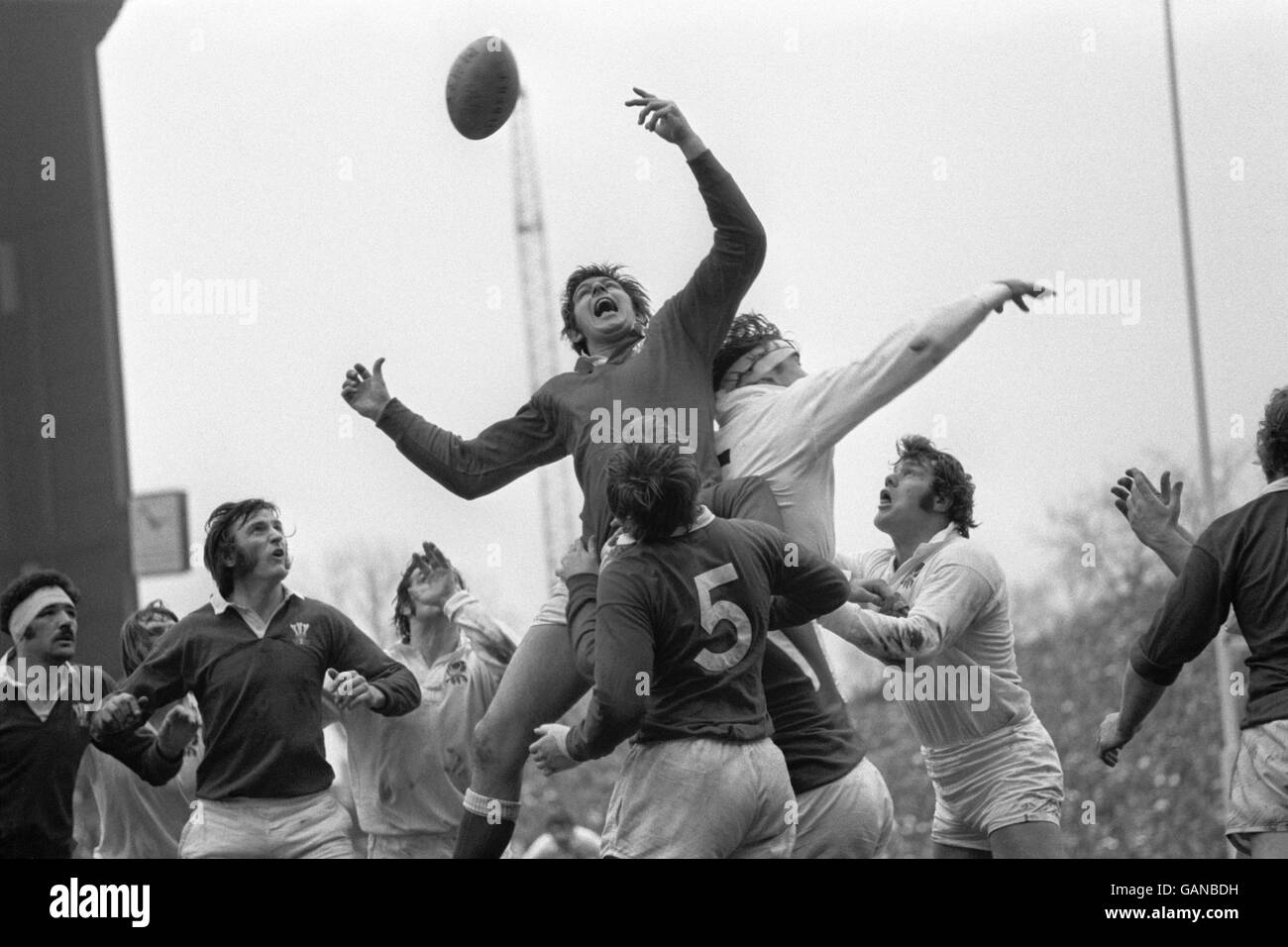 Rugby Union - Five Nations Championship - England gegen Wales. Allan Martin (c) aus Wales gewinnt den Ball in einer Line-Out-Position Stockfoto