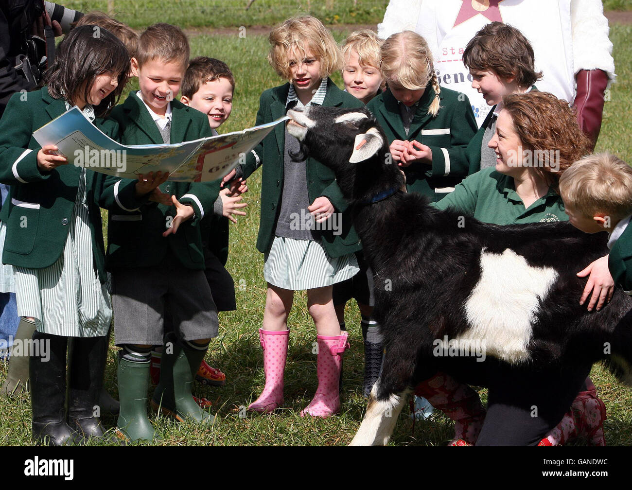 Kinder der Rockport School lesen "Starring Genevieve", begleitet von der Hauptfigur des Buches, Genevieve die Ziege. Stockfoto