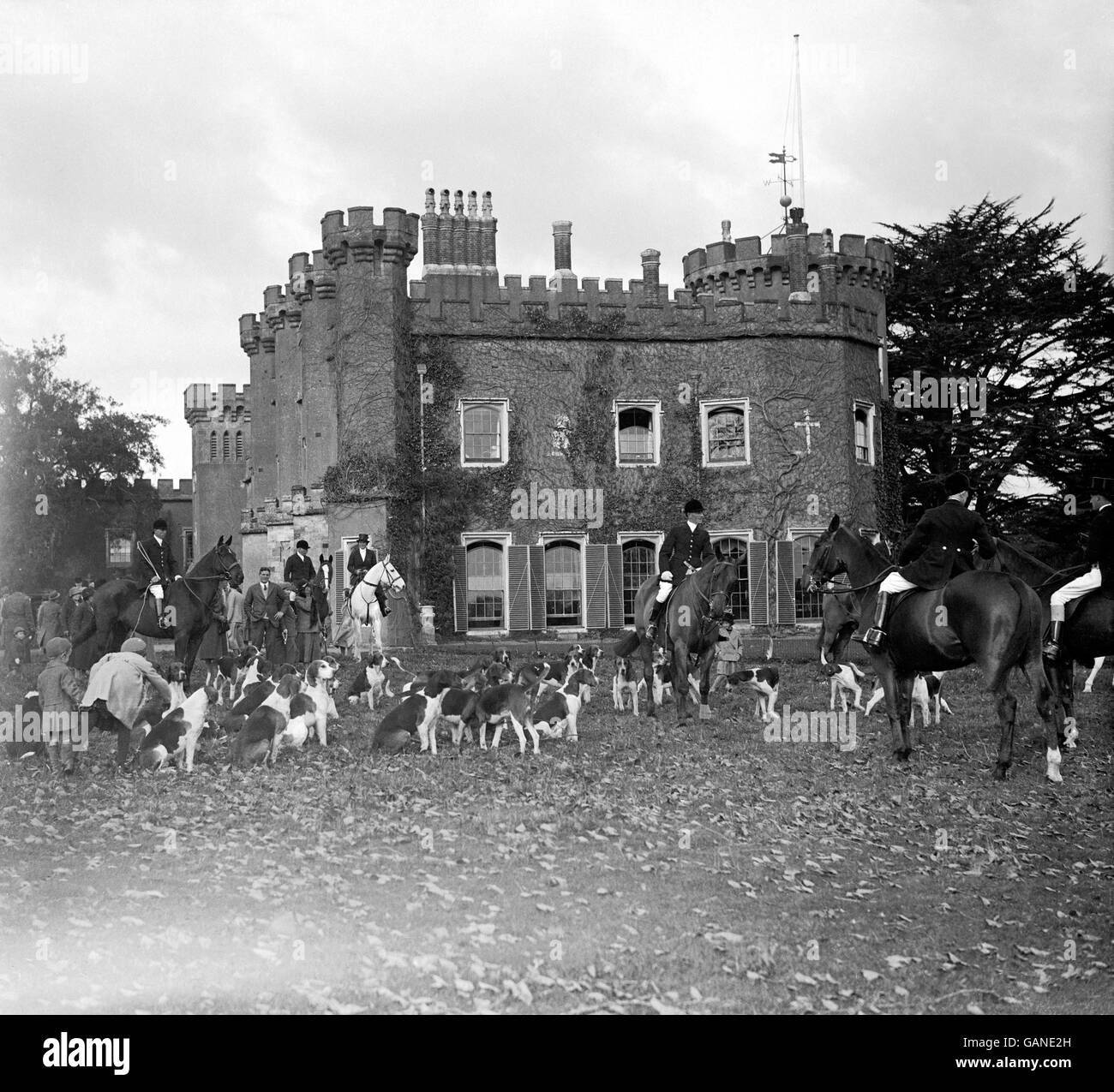 Jagd - Foxhounds - Horsham und Crawley Hunt. Die Eröffnung trifft sich auf Schloss Knebb Stockfoto