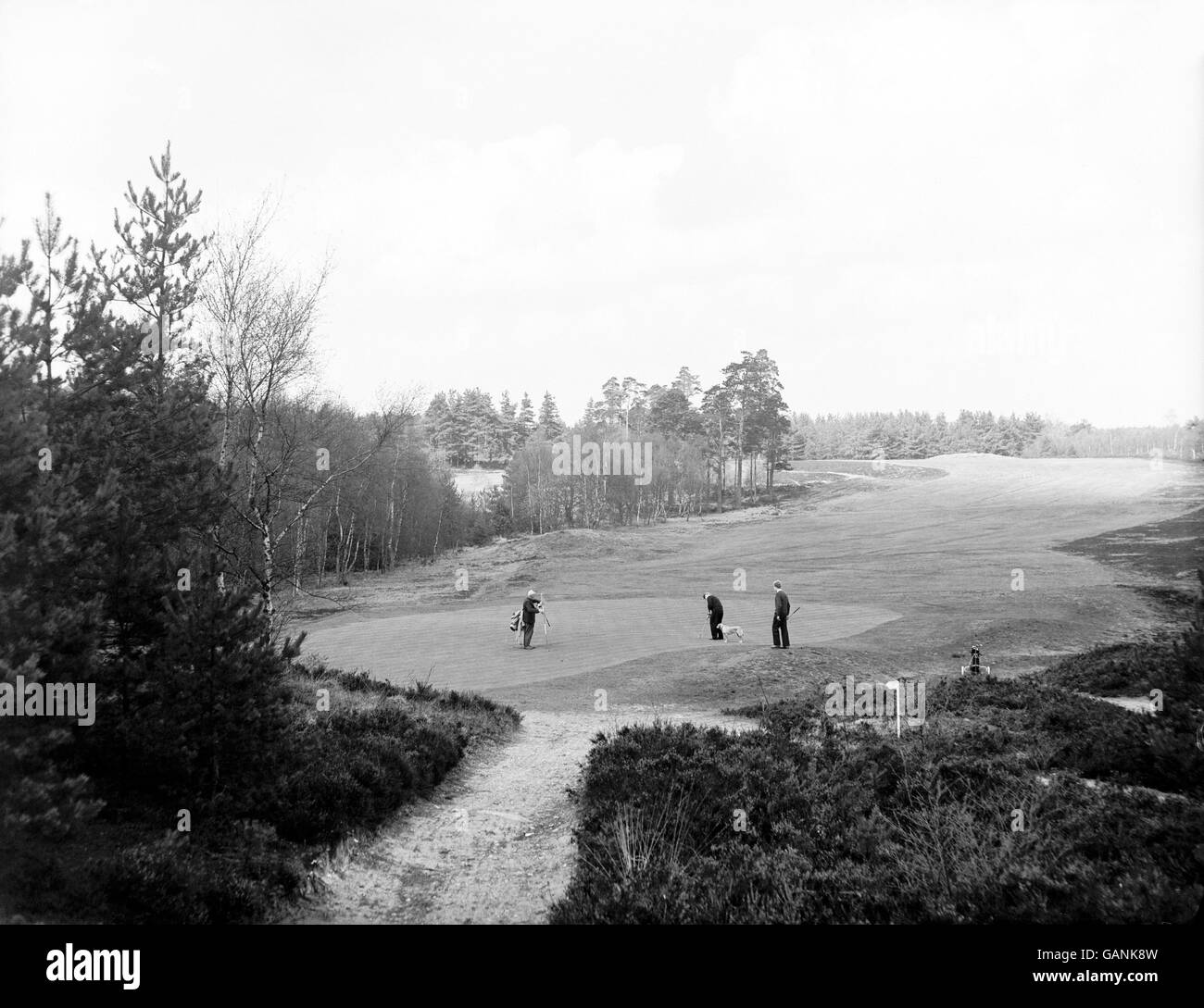Golf - Golfklub In Der Nähe Von Ascot. Gesamtansicht des 17. Grüns des Roten Kurses Stockfoto