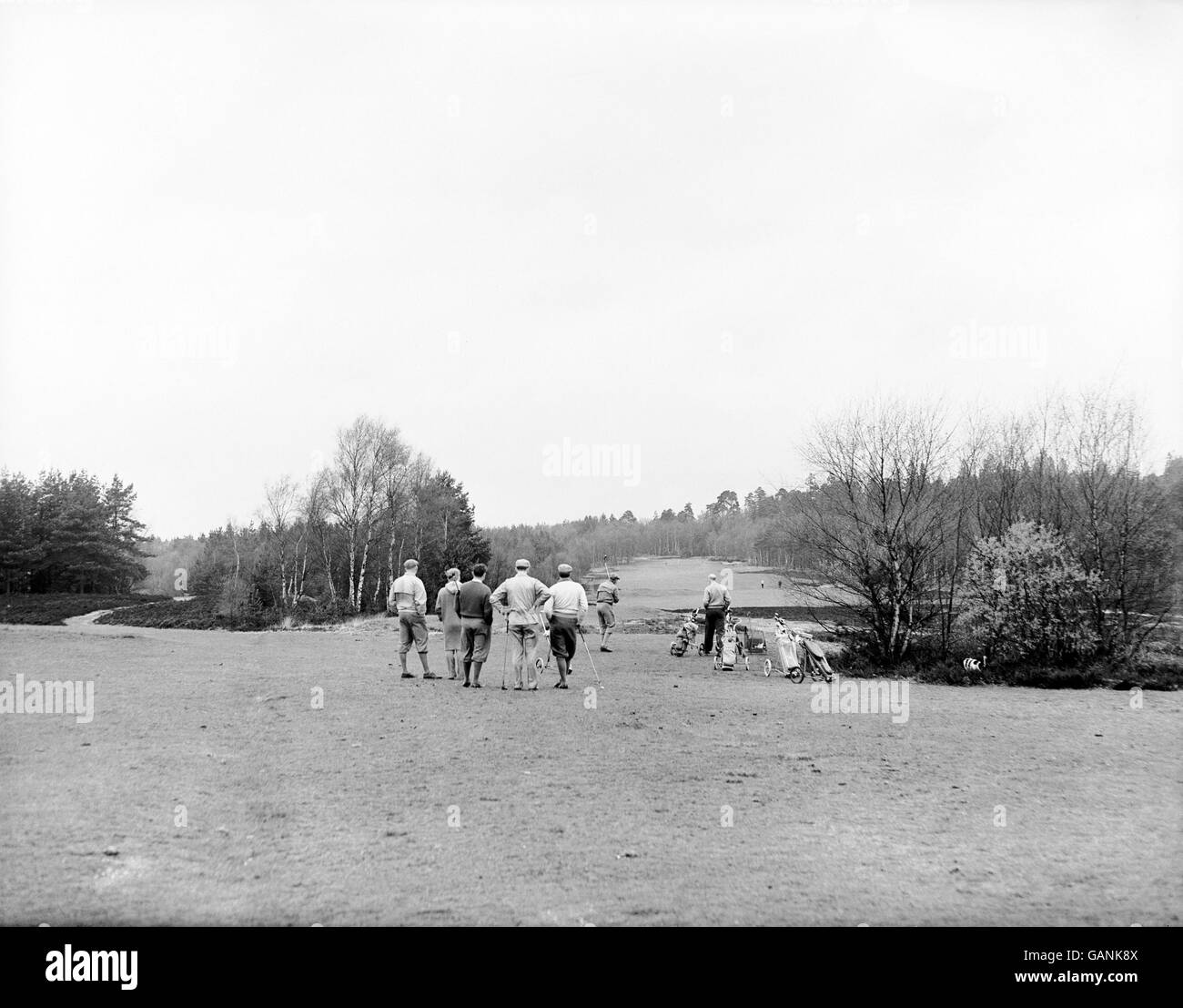 Golf - Golfklub In Der Nähe Von Ascot. Blick auf die erste Fairway des Red Course Stockfoto