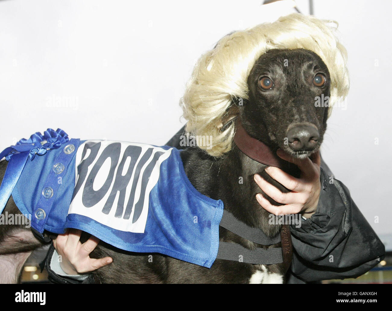 Wimbledon hundeweg Fotos und Bildmaterial in hoher Auflösung Alamy