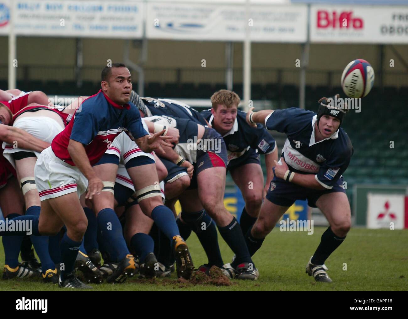 Rugby-Union - freundlich - Bristol-Shogune V USA Eagles Stockfoto